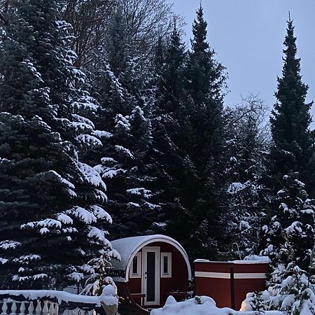 Gaestehaus Gaens - Ferienzimmer Schirgiswalde-Kirschau Exteriör bild